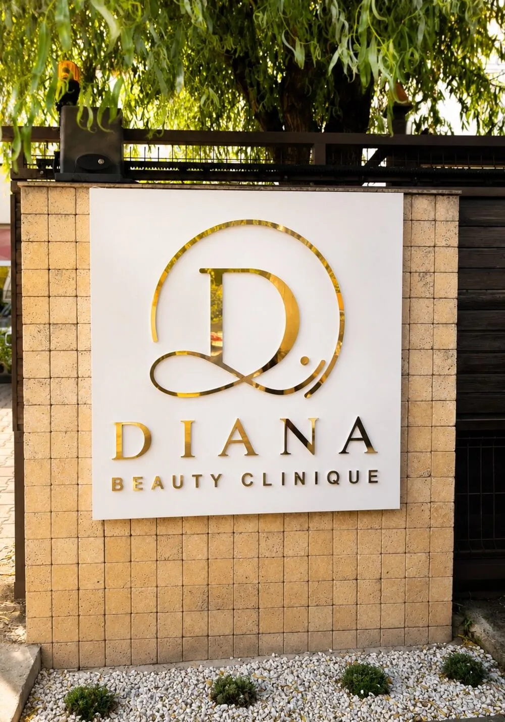 Firma clinicii — Diana Beauty Clinique
